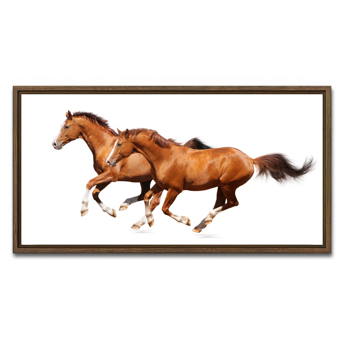 AUTO-MOCKUP WHITE | Two sorrel horses | 1 Piece | Walnut Framed Canvas | group=2x1