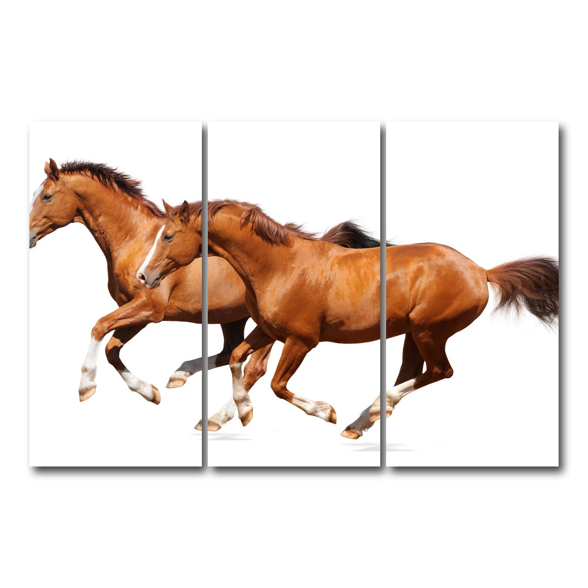 AUTO-MOCKUP WHITE | Two sorrel horses | 3 Piece | Gallery Wrap Canvas | group=12x24