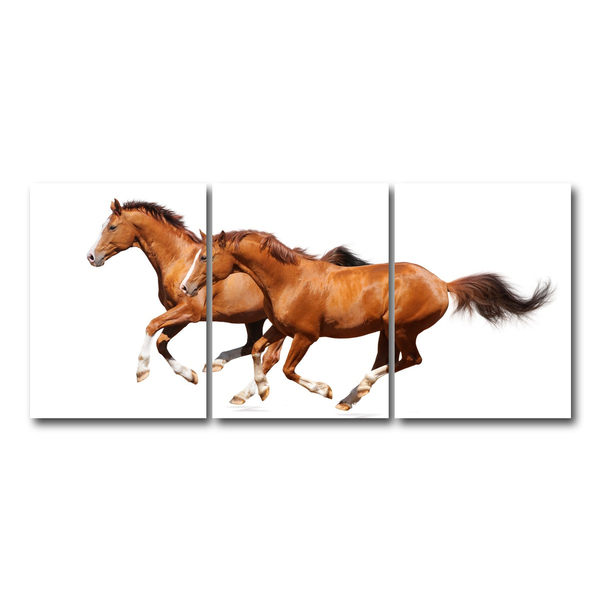 AUTO-MOCKUP WHITE | Two sorrel horses | 3 Piece | Gallery Wrap Canvas | group=18x24