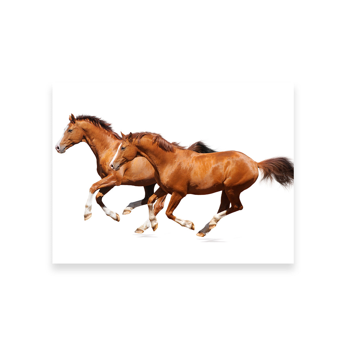 Two Sorrel Horses Wall Art