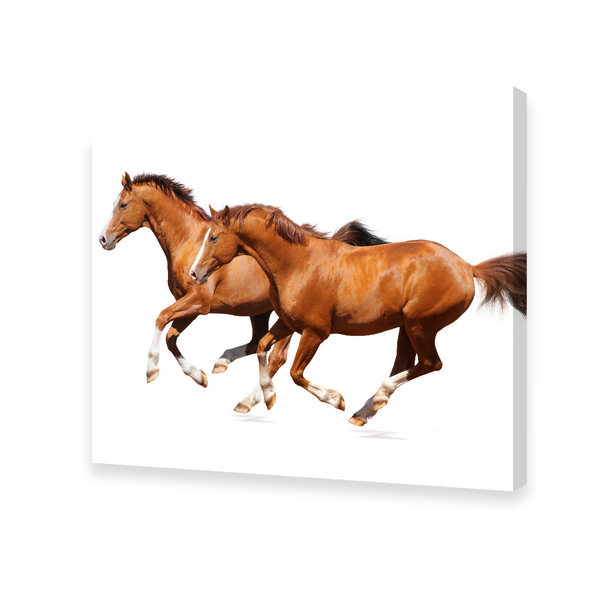 Two Sorrel Horses Wall Art