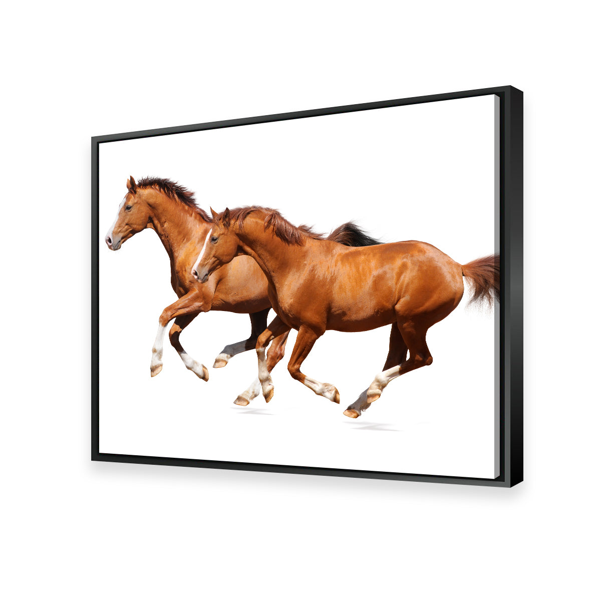 Two Sorrel Horses Wall Art