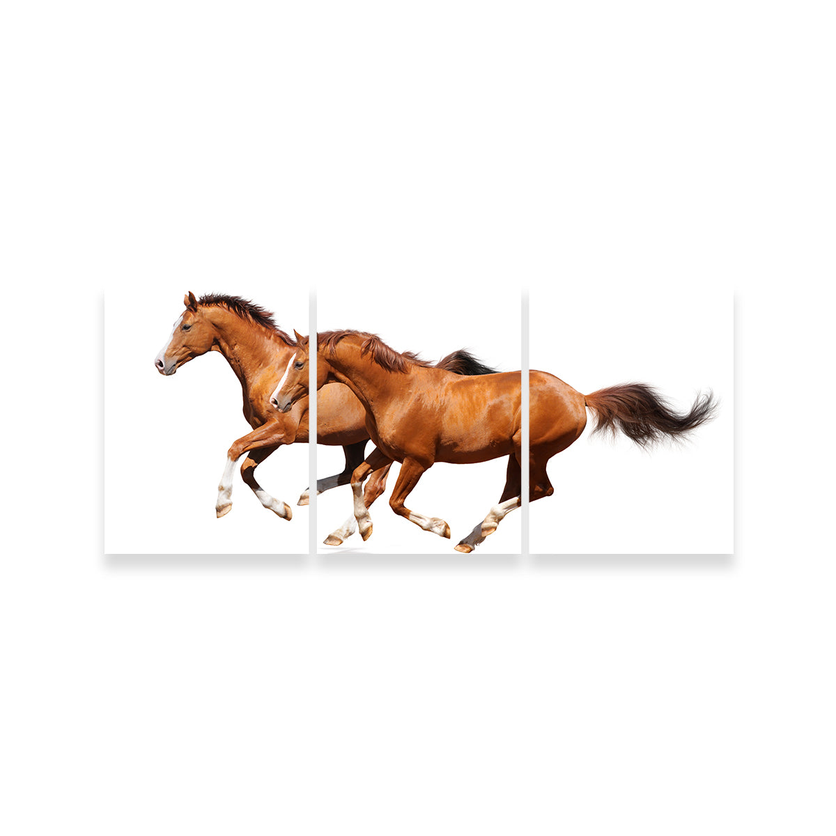Two Sorrel Horses Wall Art