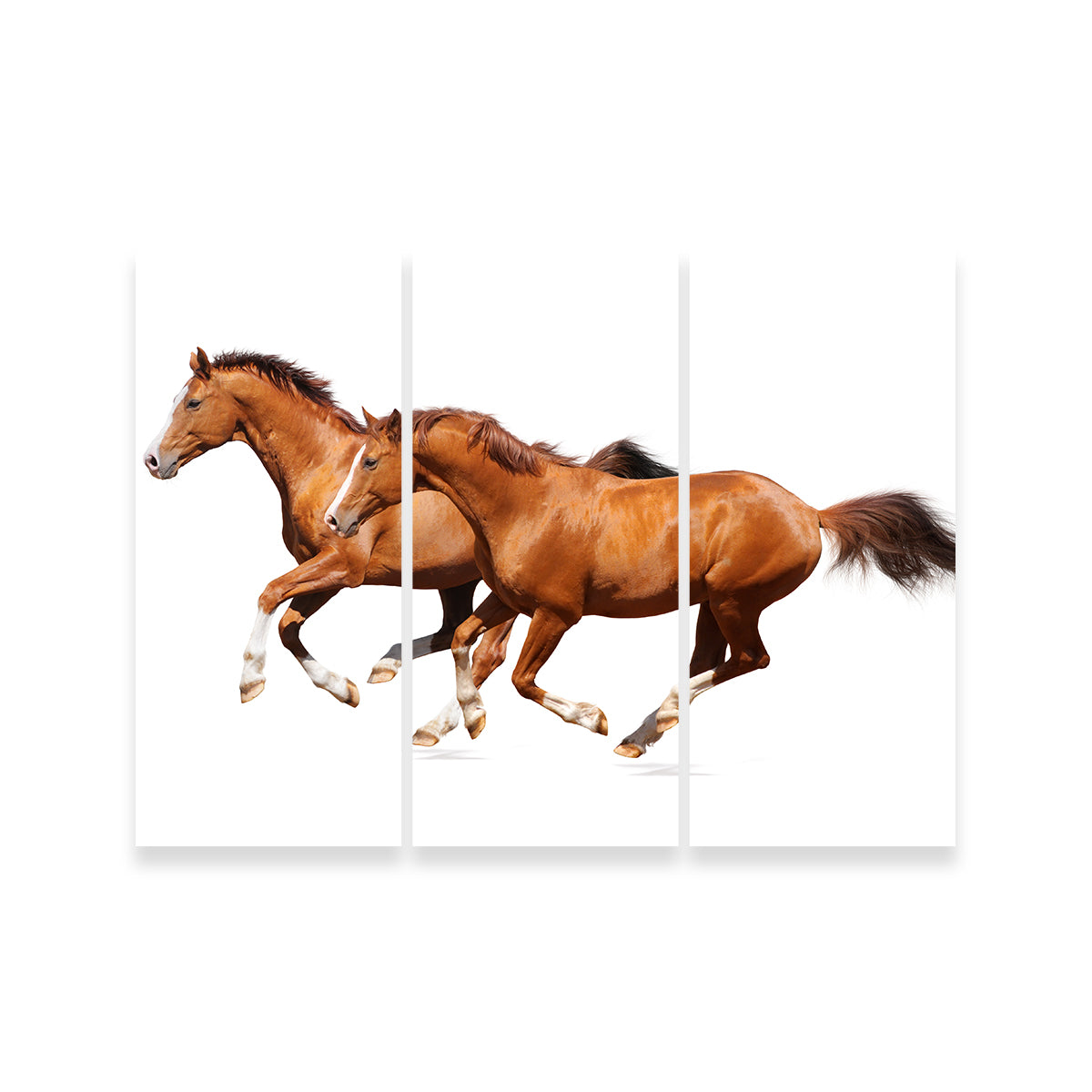 Two Sorrel Horses Wall Art