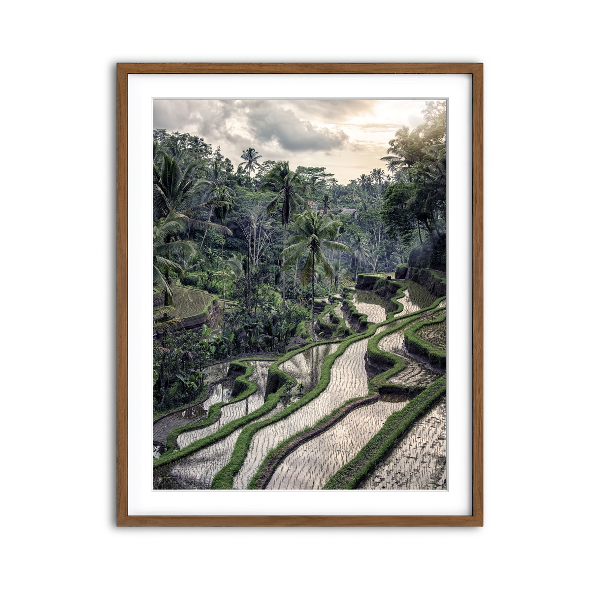 Framed Print 3x4 Walnut