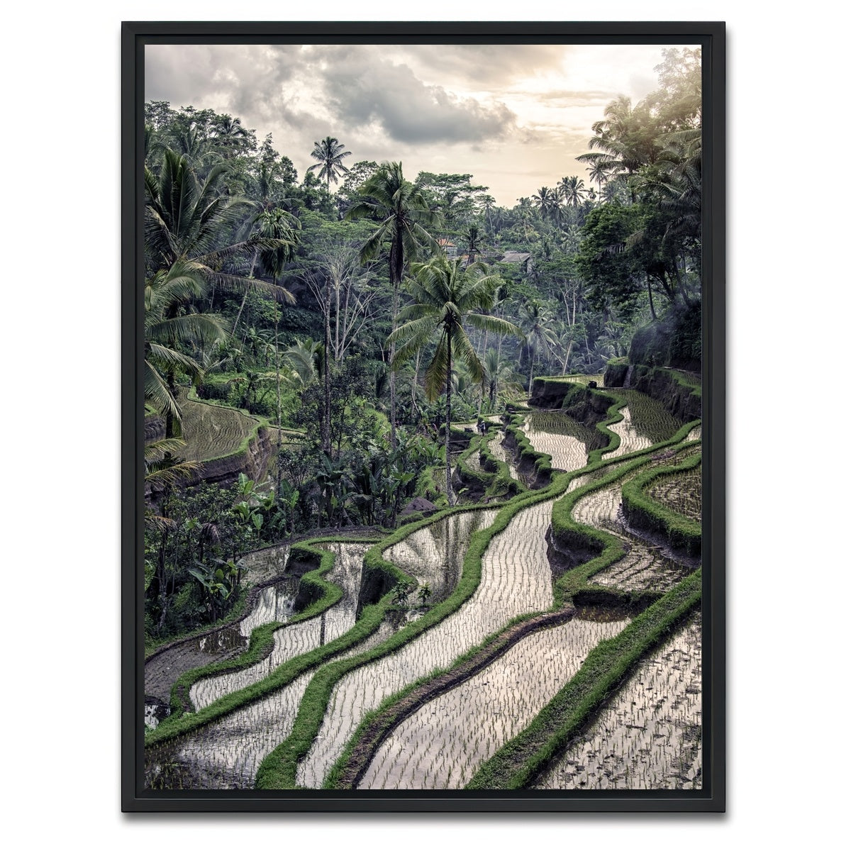 AUTO-MOCKUP WHITE | Ubud Countryside | 1 Piece | Black Framed Canvas | group=3x4