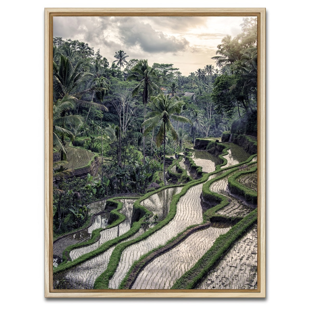 AUTO-MOCKUP WHITE | Ubud Countryside | 1 Piece | Natural Framed Canvas | group=3x4