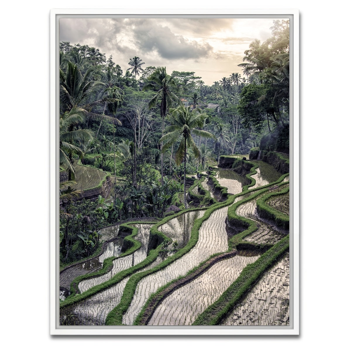 AUTO-MOCKUP WHITE | Ubud Countryside | 1 Piece | White Framed Canvas | group=3x4