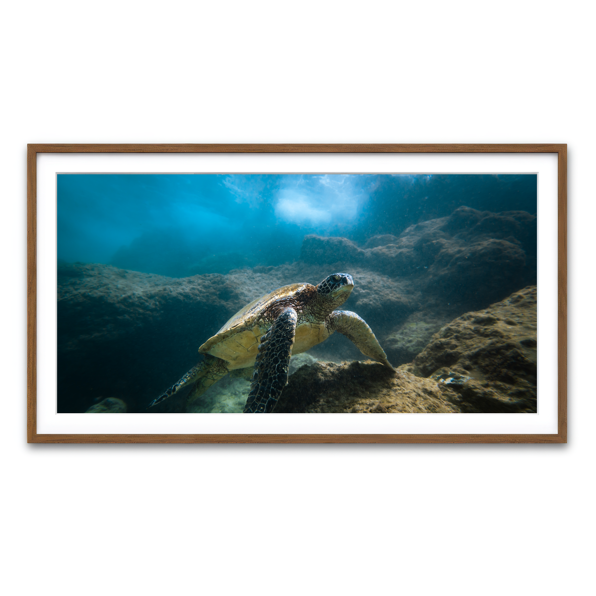 Framed Print 2x1 Walnut