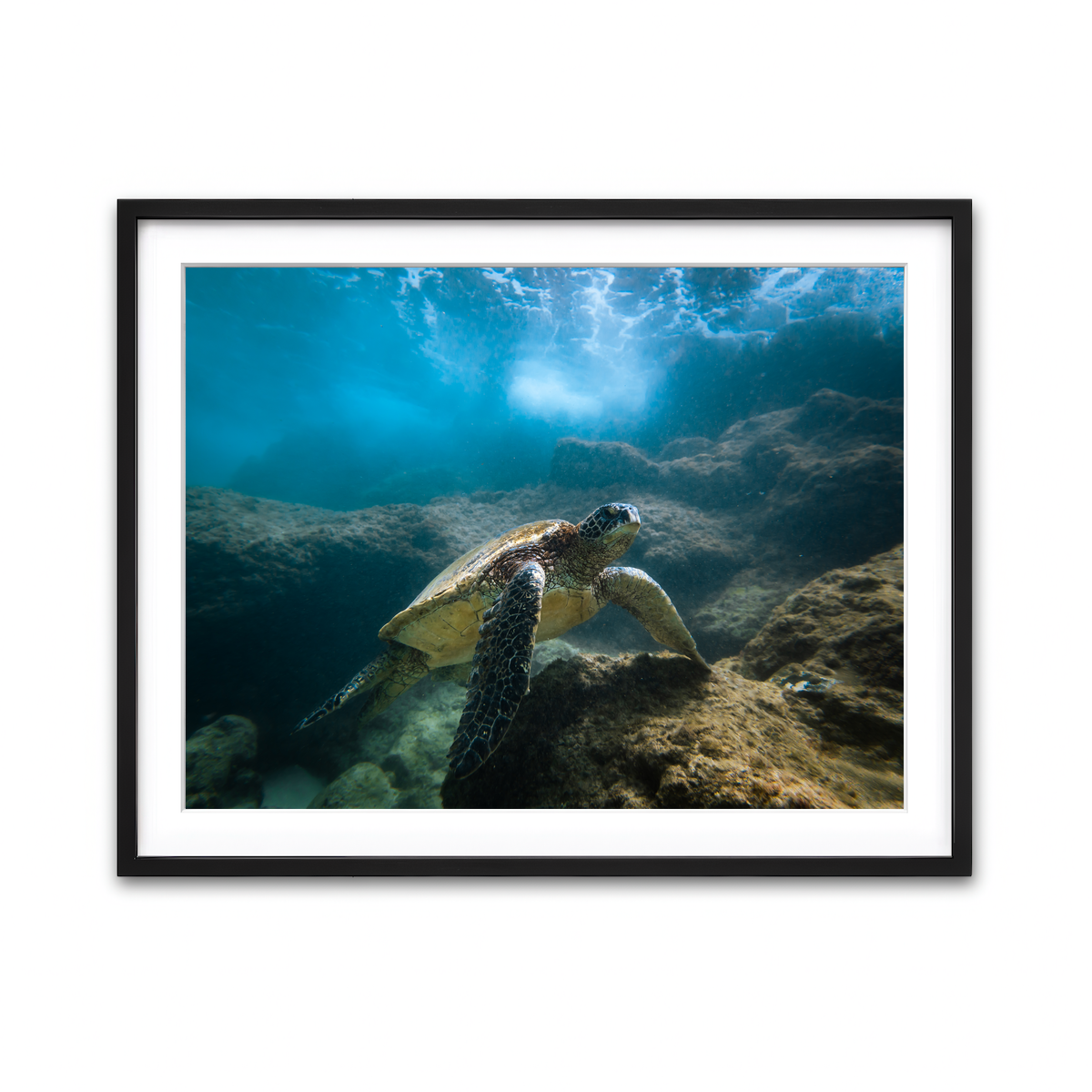 Framed Print 4x3 Black