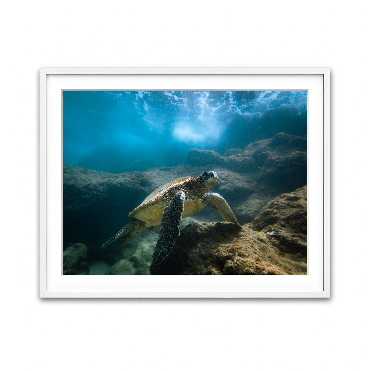 Framed Print 4x3 White