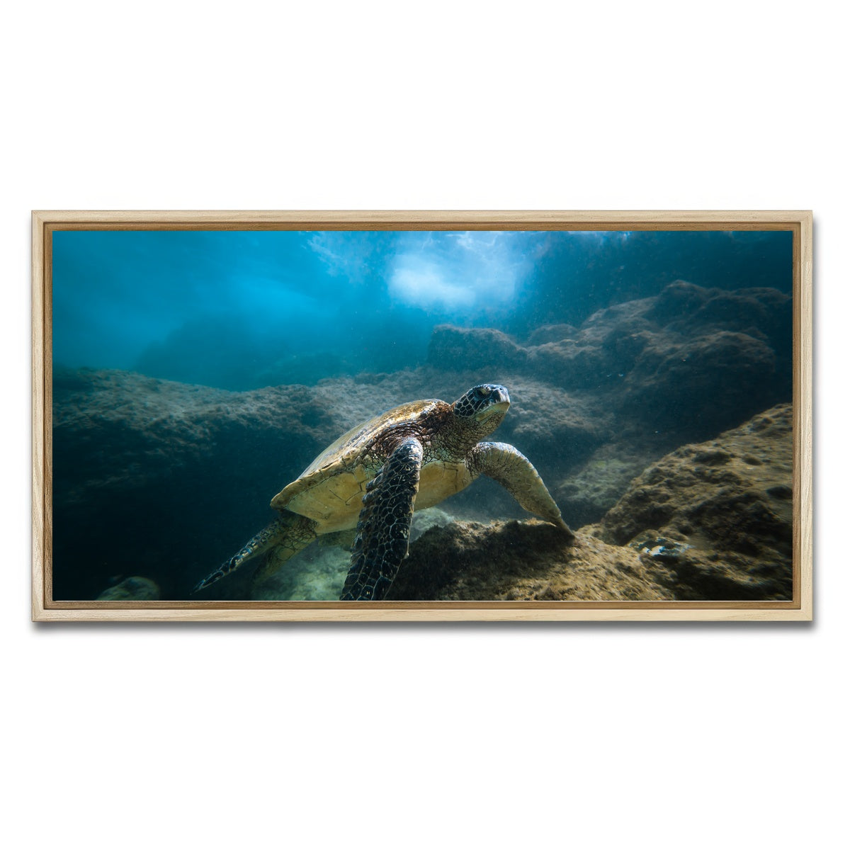 AUTO-MOCKUP WHITE | Under the Sea | 1 Piece | Natural Framed Canvas | group=2x1