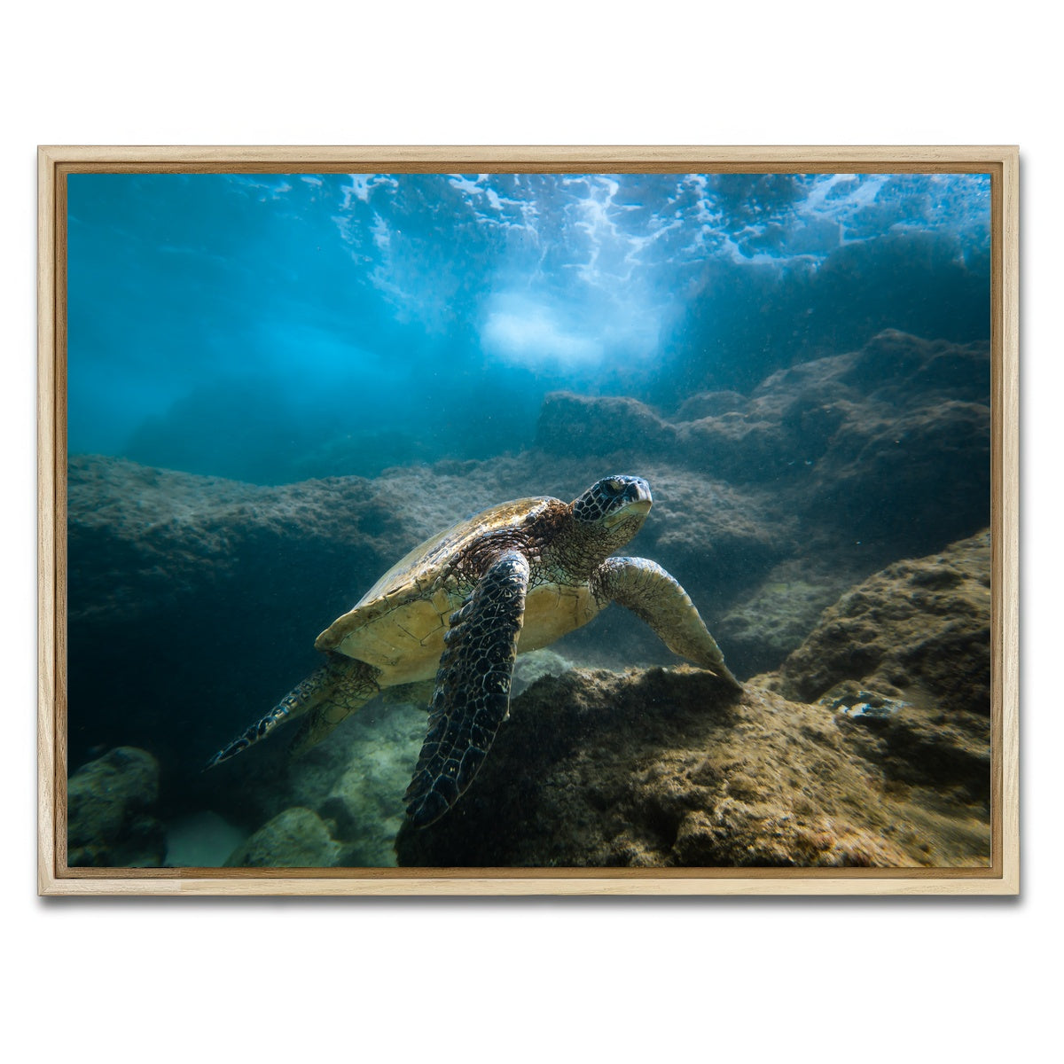AUTO-MOCKUP WHITE | Under the Sea | 1 Piece | Natural Framed Canvas | group=4x3