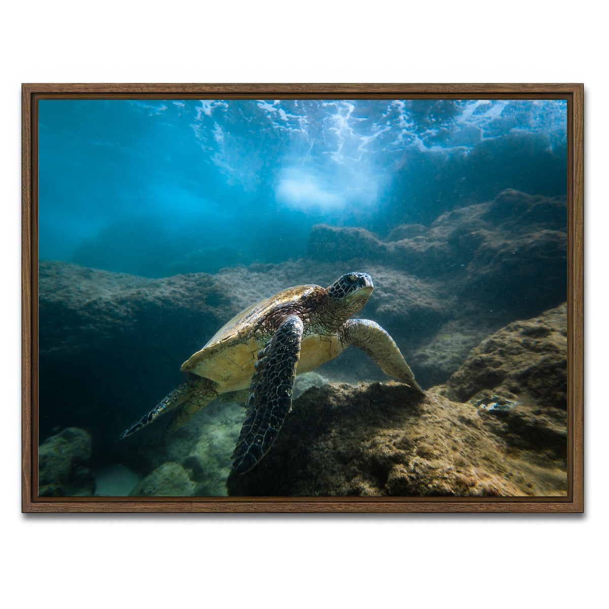 AUTO-MOCKUP WHITE | Under the Sea | 1 Piece | Walnut Framed Canvas | group=4x3