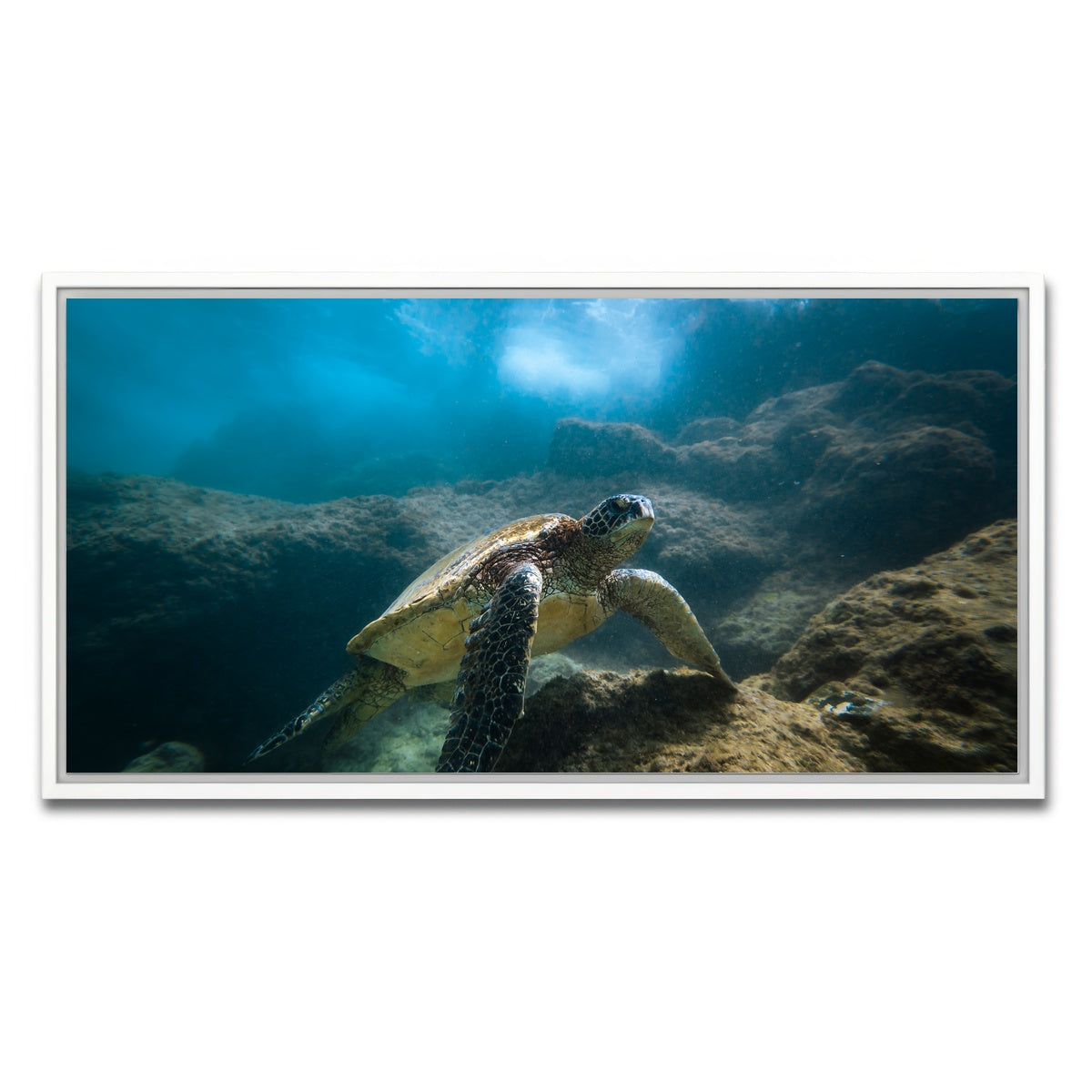AUTO-MOCKUP WHITE | Under the Sea | 1 Piece | White Framed Canvas | group=2x1