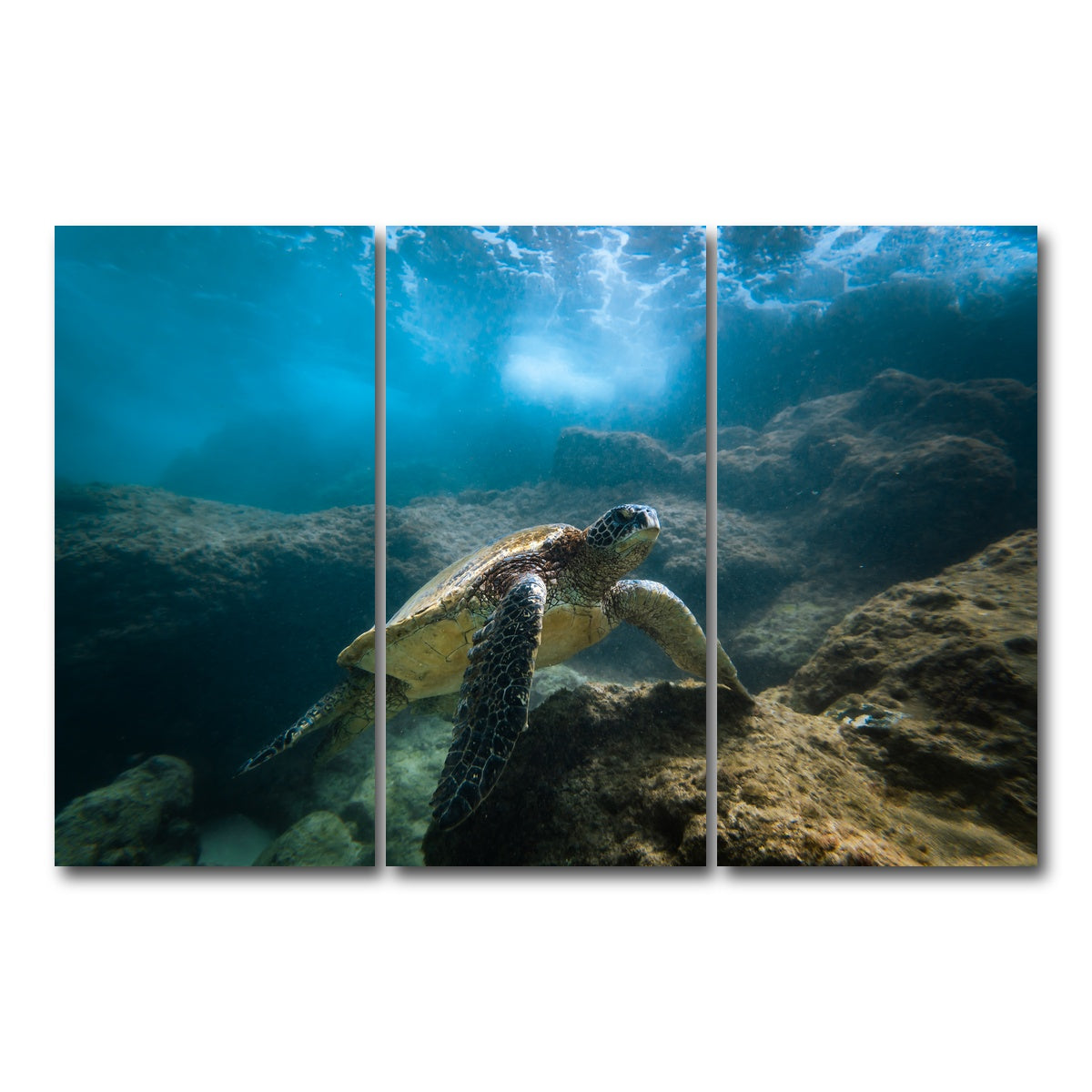 AUTO-MOCKUP WHITE | Under the Sea | 3 Piece | Gallery Wrap Canvas | group=12x24