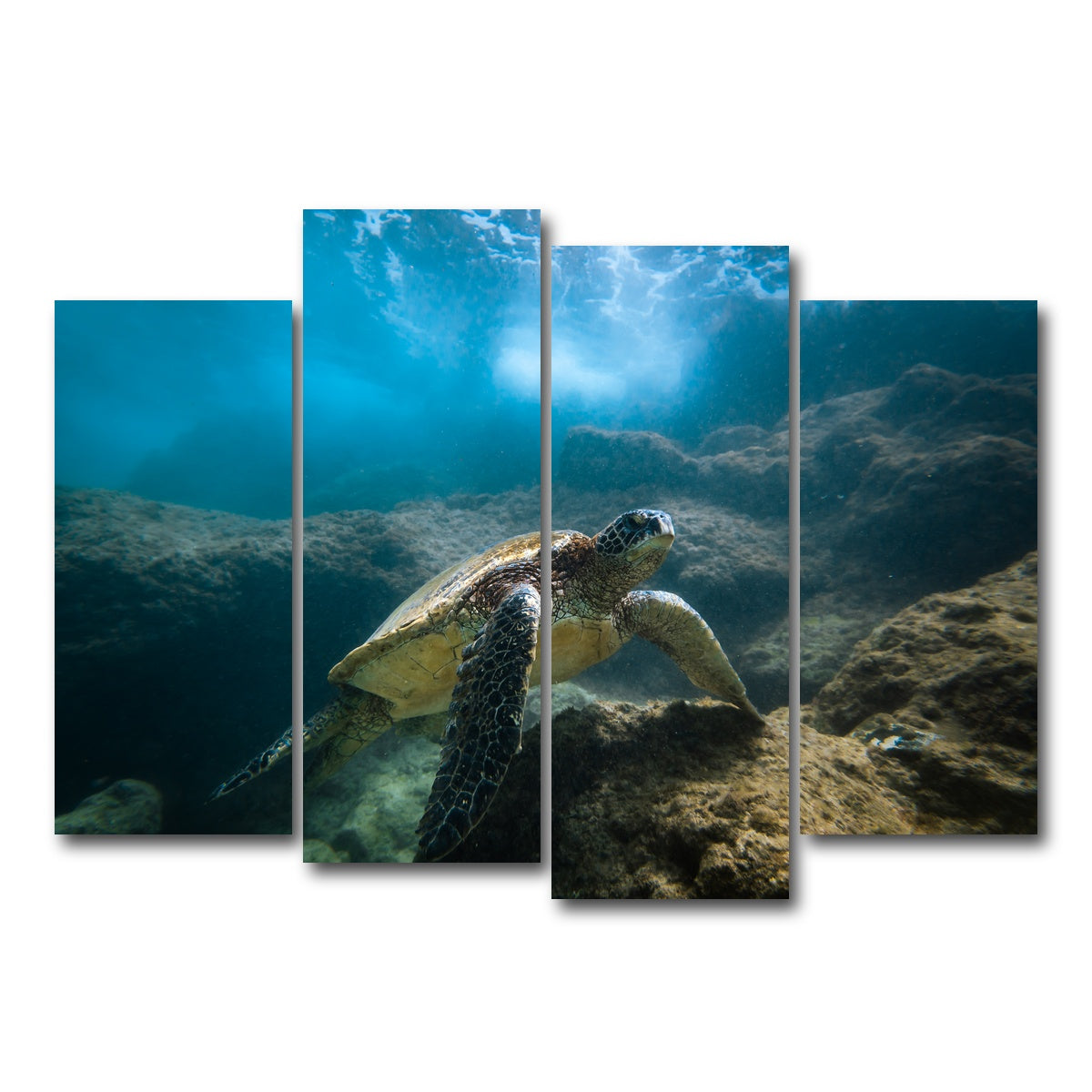 AUTO-MOCKUP WHITE | Under the Sea | 4 Piece | Gallery Wrap Canvas | group=4_normal