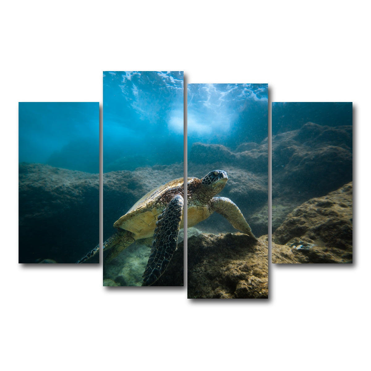 AUTO-MOCKUP WHITE | Under the Sea | 4 Piece | Gallery Wrap Canvas | group=4_short