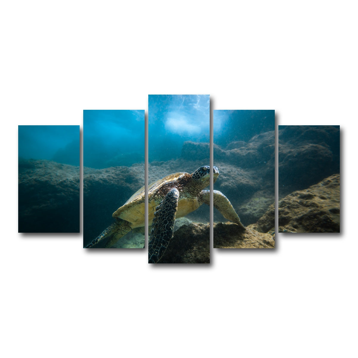 AUTO-MOCKUP WHITE | Under the Sea | 5 Piece | Gallery Wrap Canvas | group=5_normal
