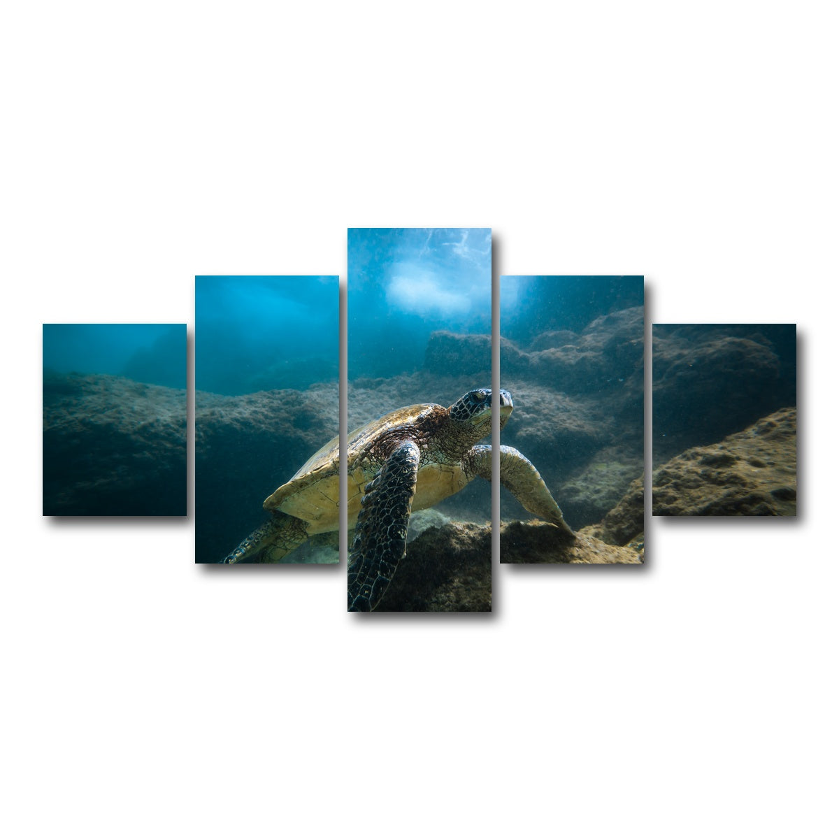 AUTO-MOCKUP WHITE | Under the Sea | 5 Piece | Gallery Wrap Canvas | group=5_short