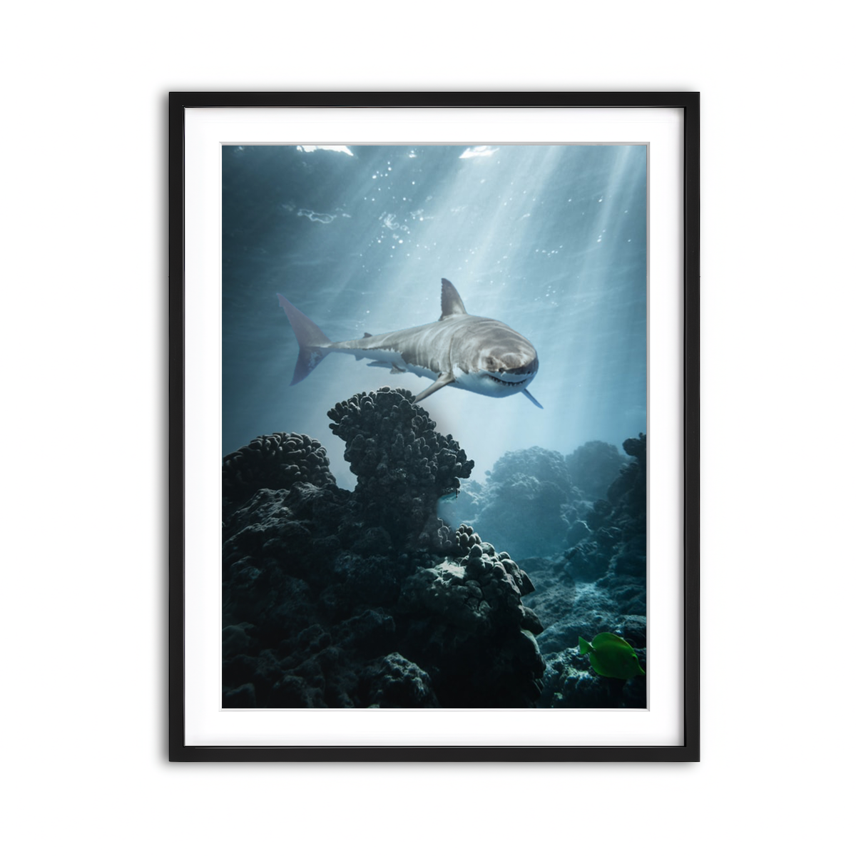 Framed Print 3x4 Black