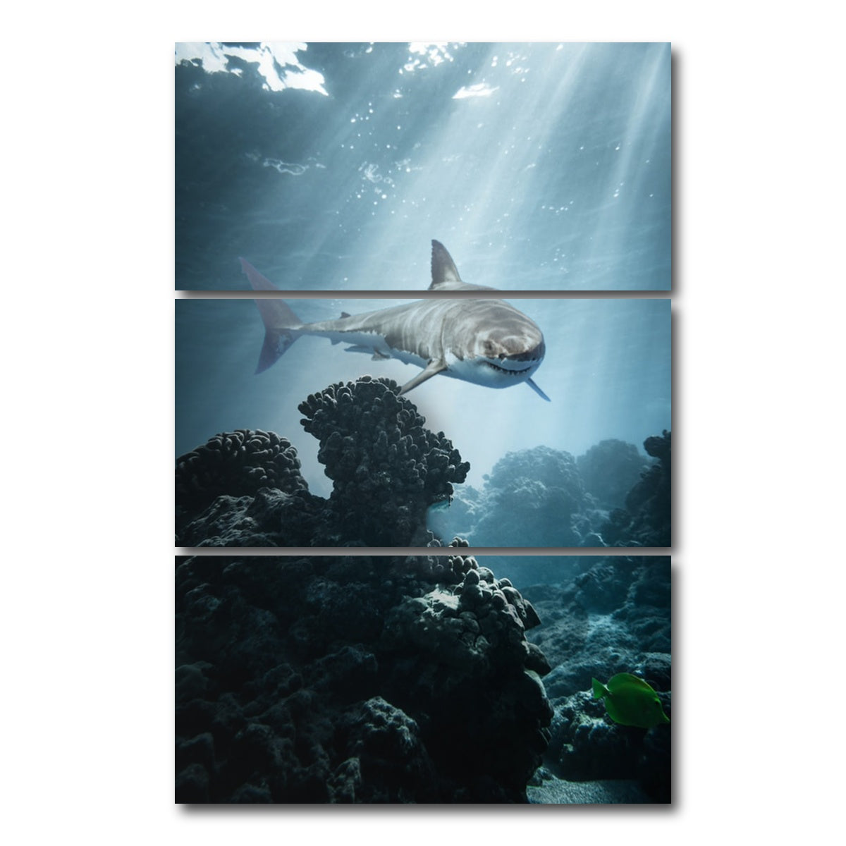 AUTO-MOCKUP WHITE | Underwater Terror | 3 Piece | Gallery Wrap Canvas | group=12x24_stacked