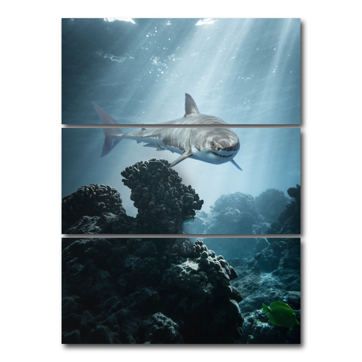AUTO-MOCKUP WHITE | Underwater Terror | 3 Piece | Gallery Wrap Canvas | group=8x18_stacked