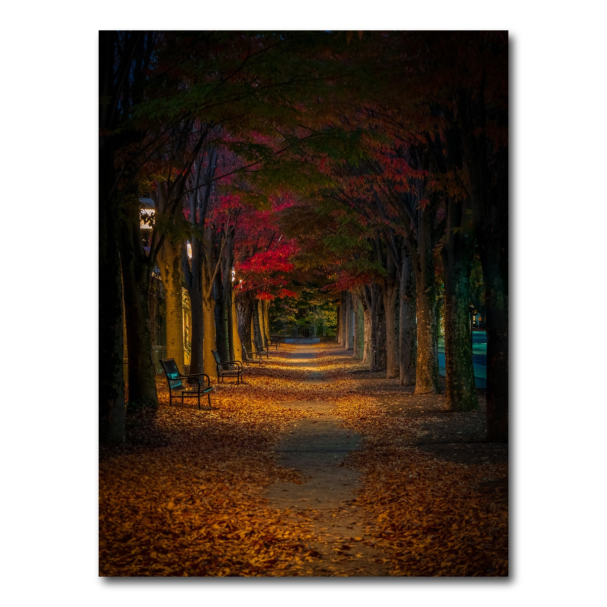 AUTO-MOCKUP WHITE | Unwritten Stories | 1 Piece | Gallery Wrap Canvas | group=3x4