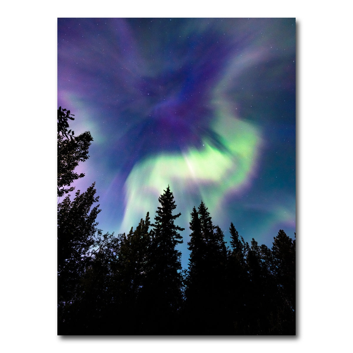 AUTO-MOCKUP WHITE | Up in the Sky | 1 Piece | Gallery Wrap Canvas | group=3x4