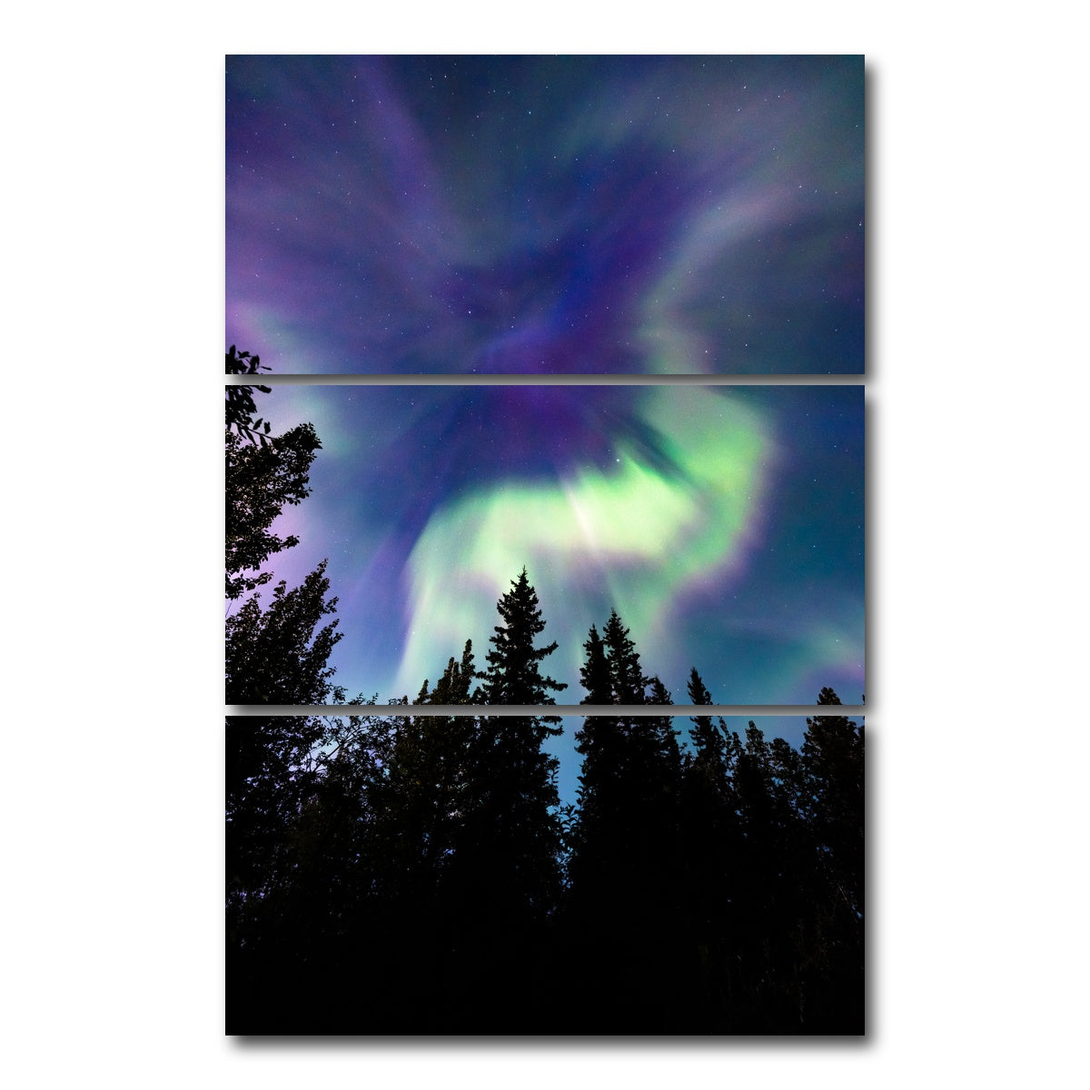 AUTO-MOCKUP WHITE | Up in the Sky | 3 Piece | Gallery Wrap Canvas | group=12x24_stacked