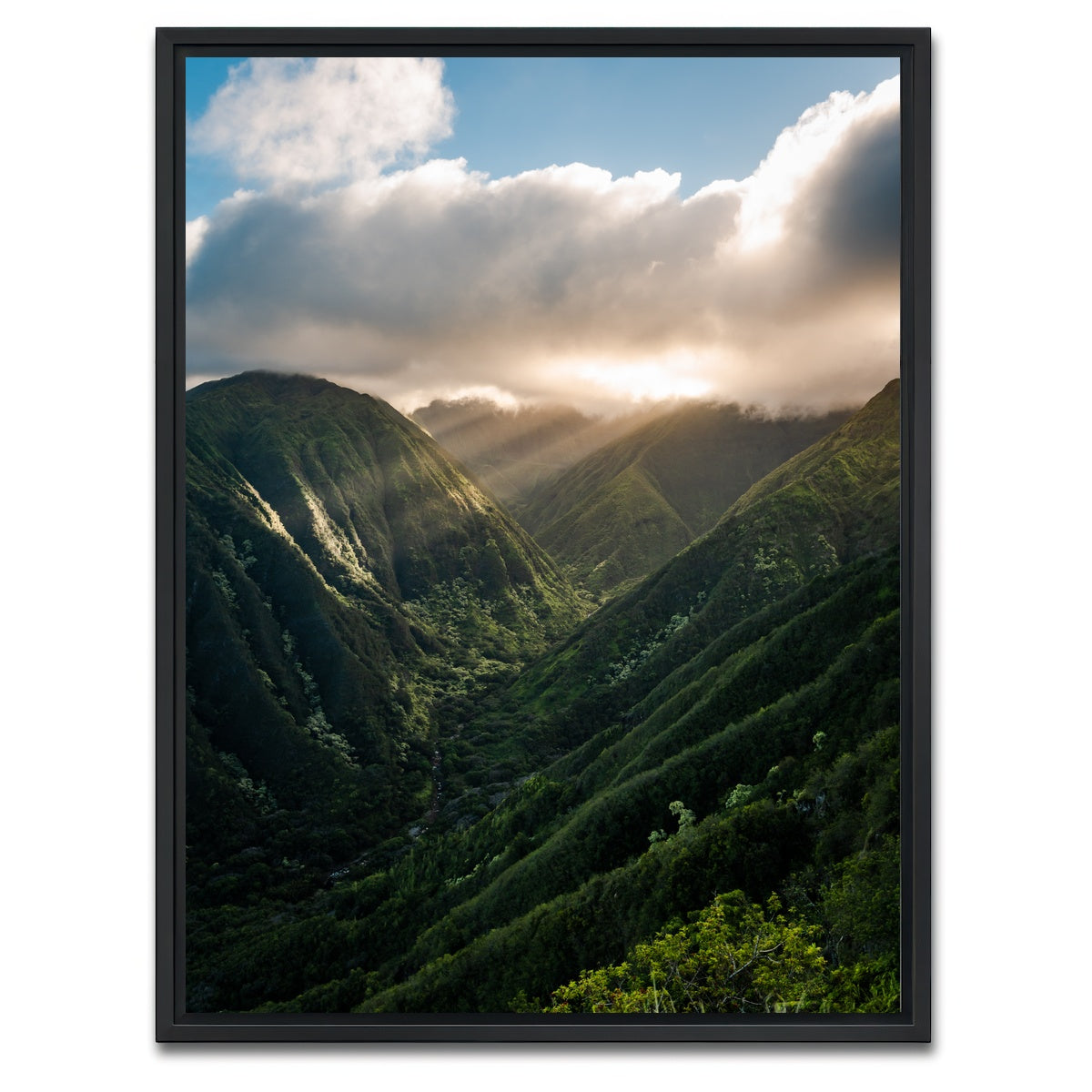 AUTO-MOCKUP WHITE | Valley of Light | 1 Piece | Black Framed Canvas | group=3x4