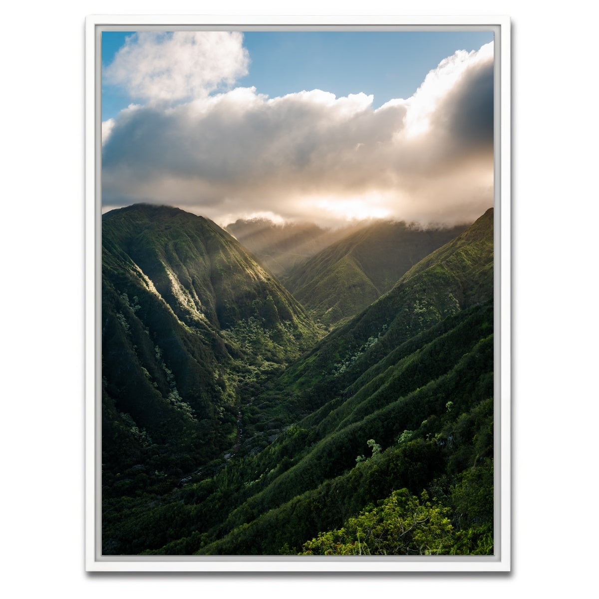 AUTO-MOCKUP WHITE | Valley of Light | 1 Piece | White Framed Canvas | group=3x4