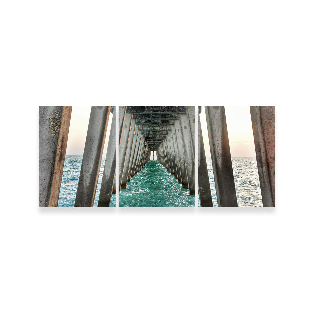 Venice Beach Pier at Sharkys On The Pier Wall Art