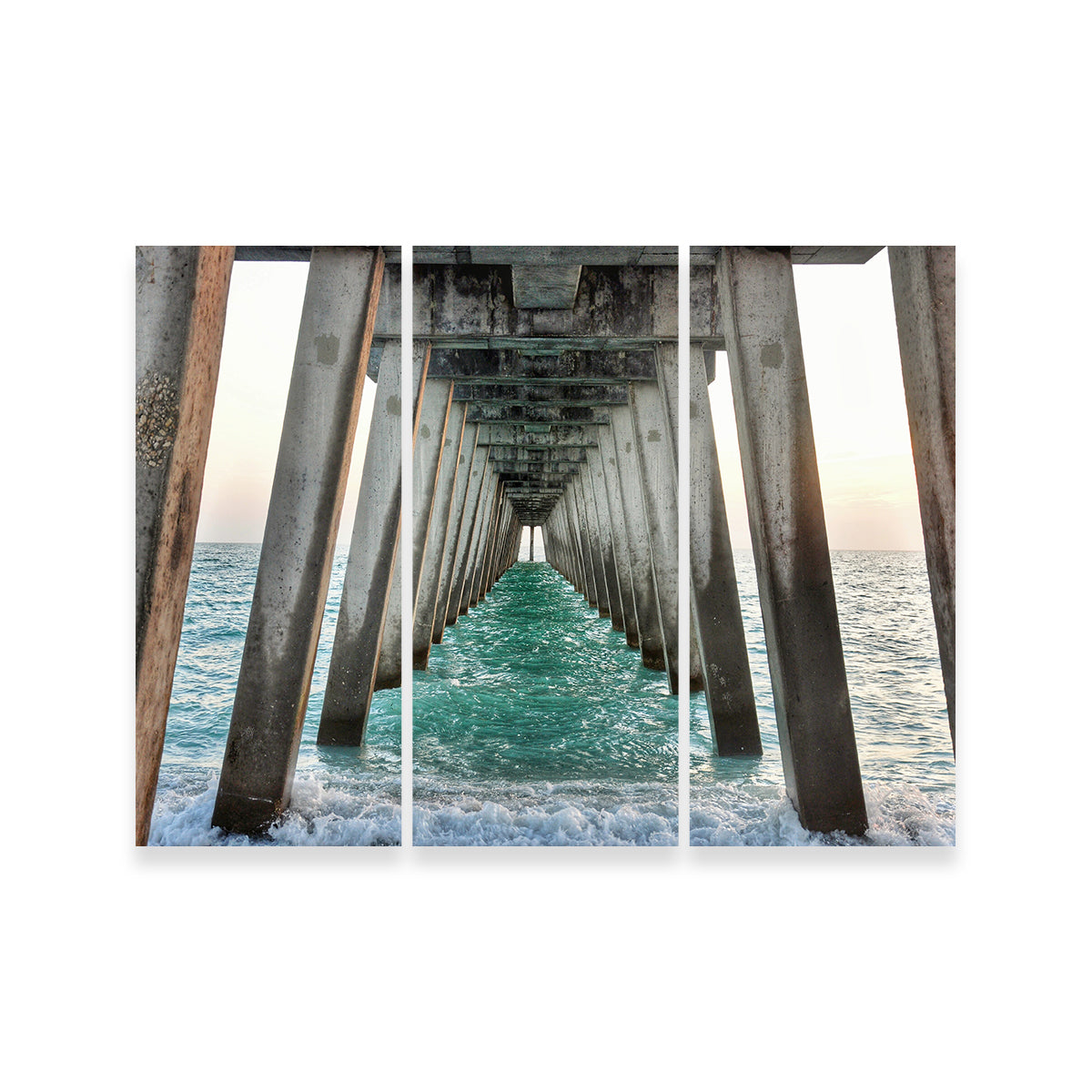 Venice Beach Pier at Sharkys On The Pier Wall Art