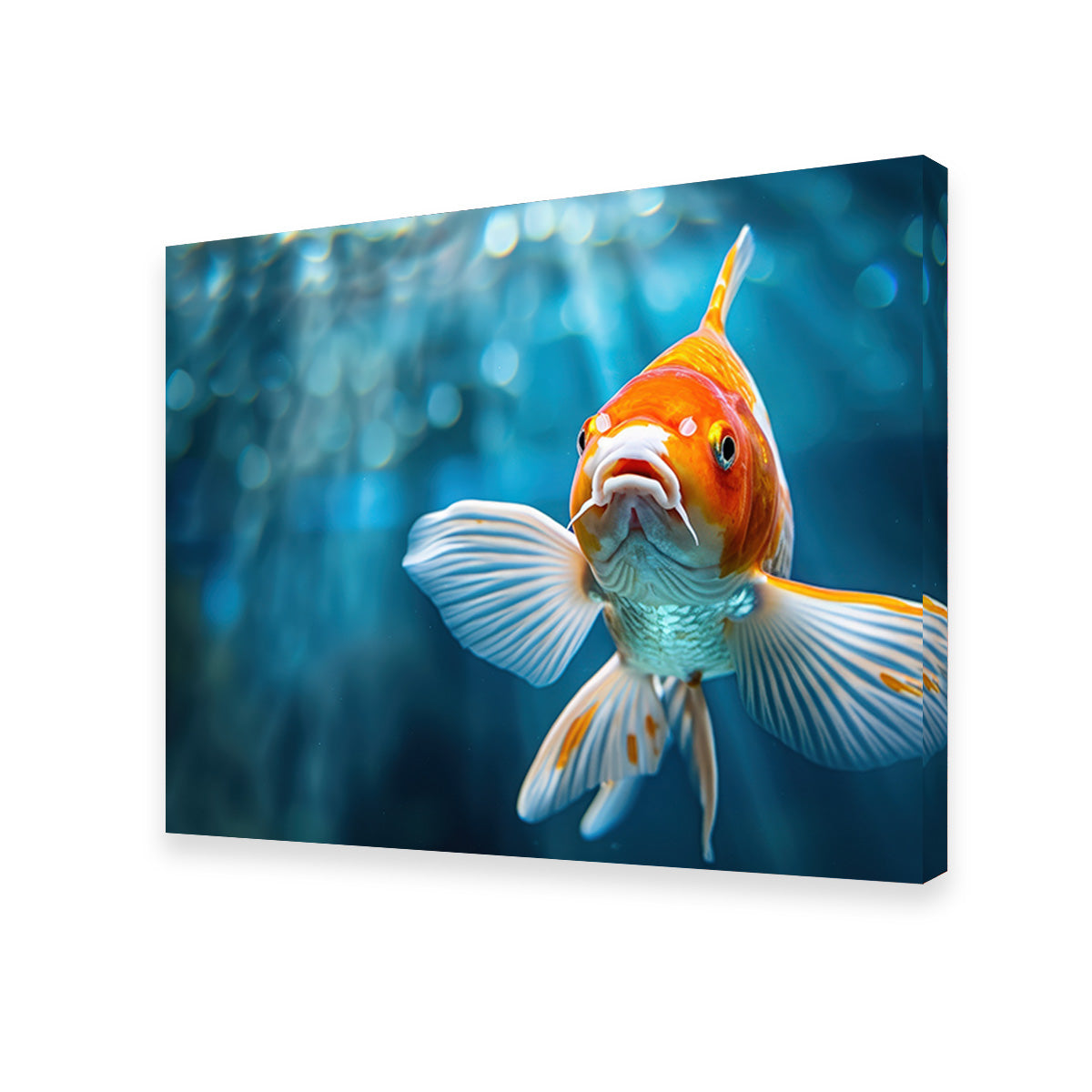 Vibrant Golden Koi Wall Art