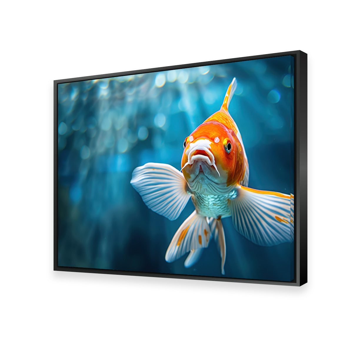 Vibrant Golden Koi Wall Art