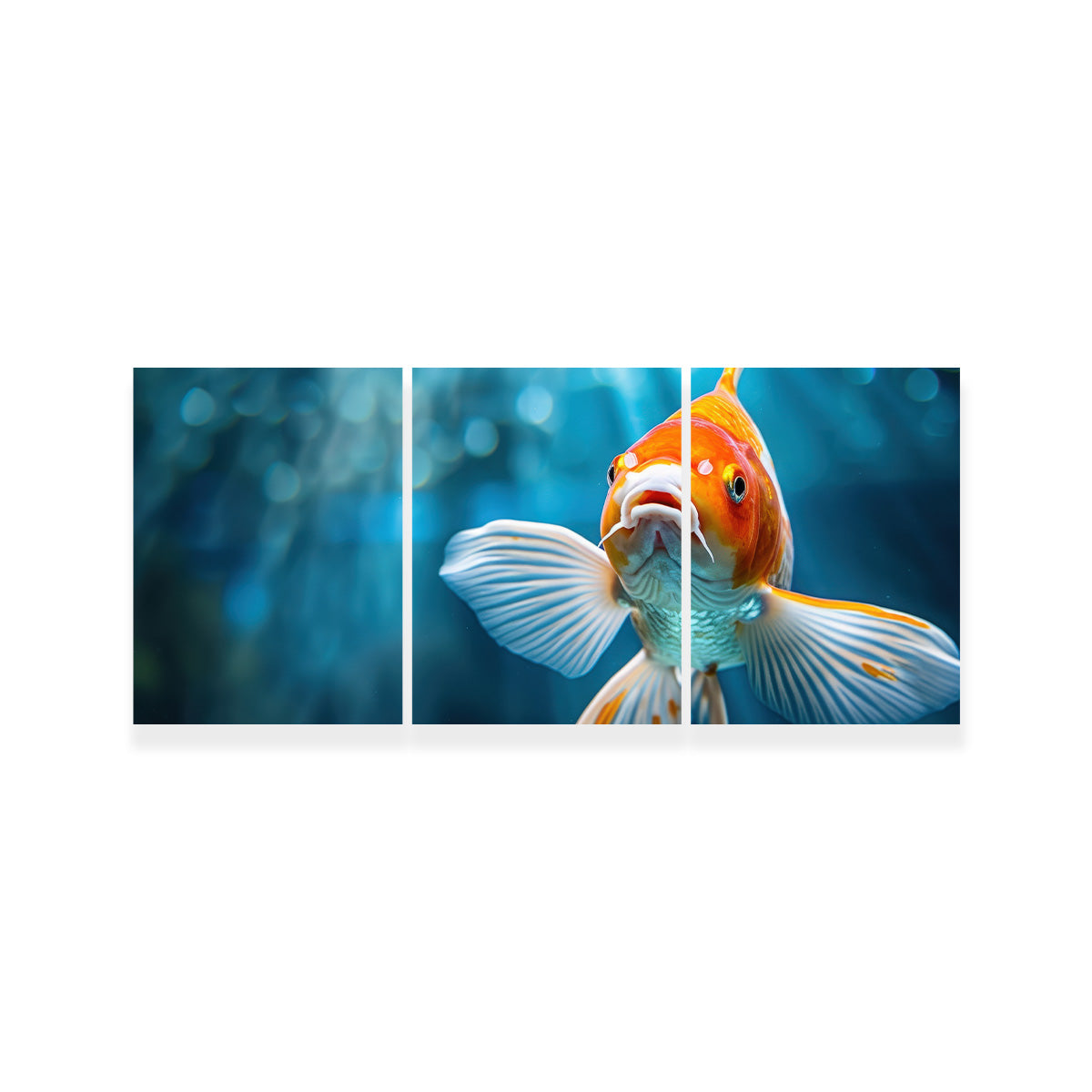 Vibrant Golden Koi Wall Art