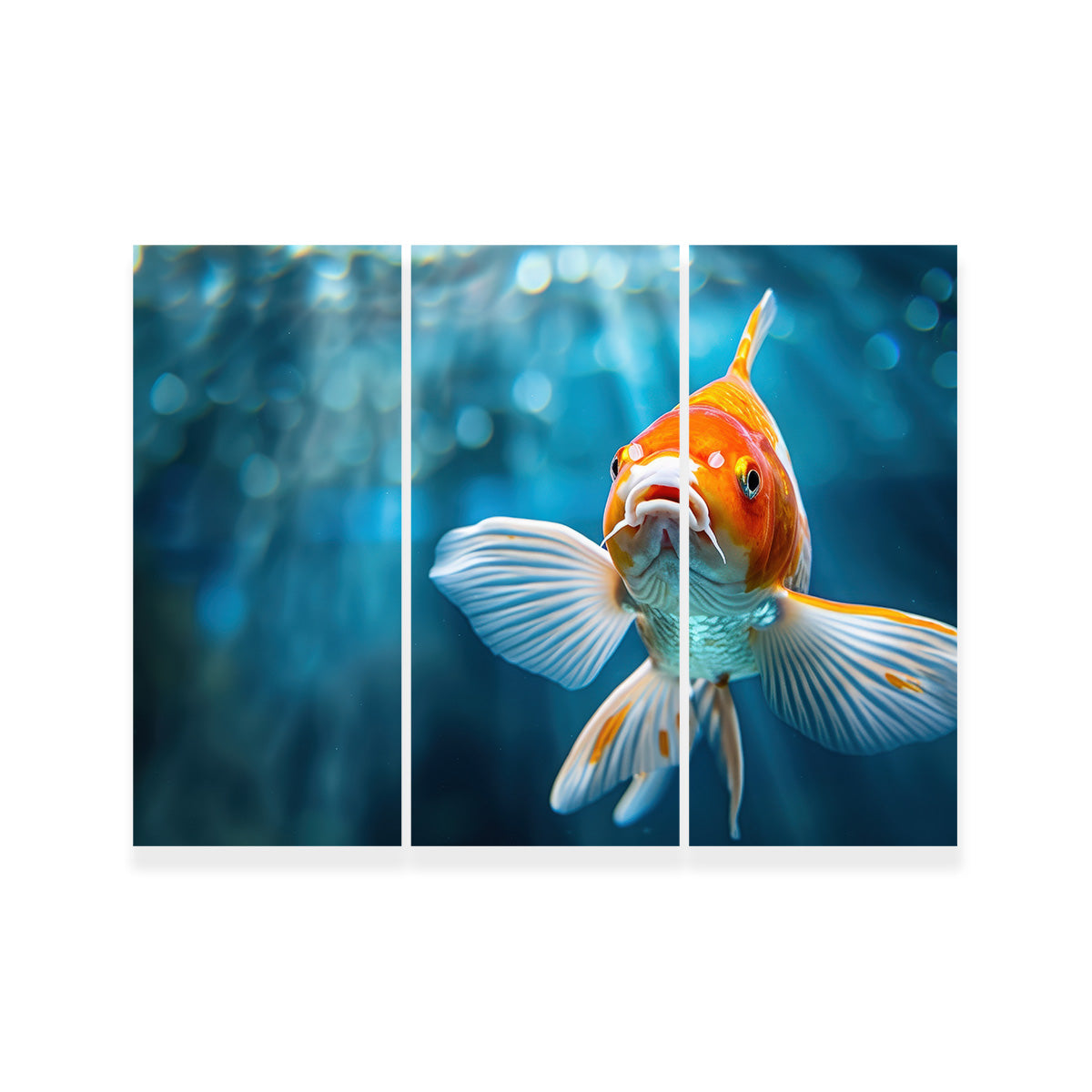 Vibrant Golden Koi Wall Art