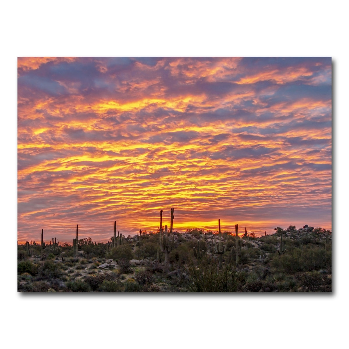 AUTO-MOCKUP WHITE | Vibrant Arizona Desert Sunrise | 1 Piece | Gallery Wrap Canvas | group=4x3