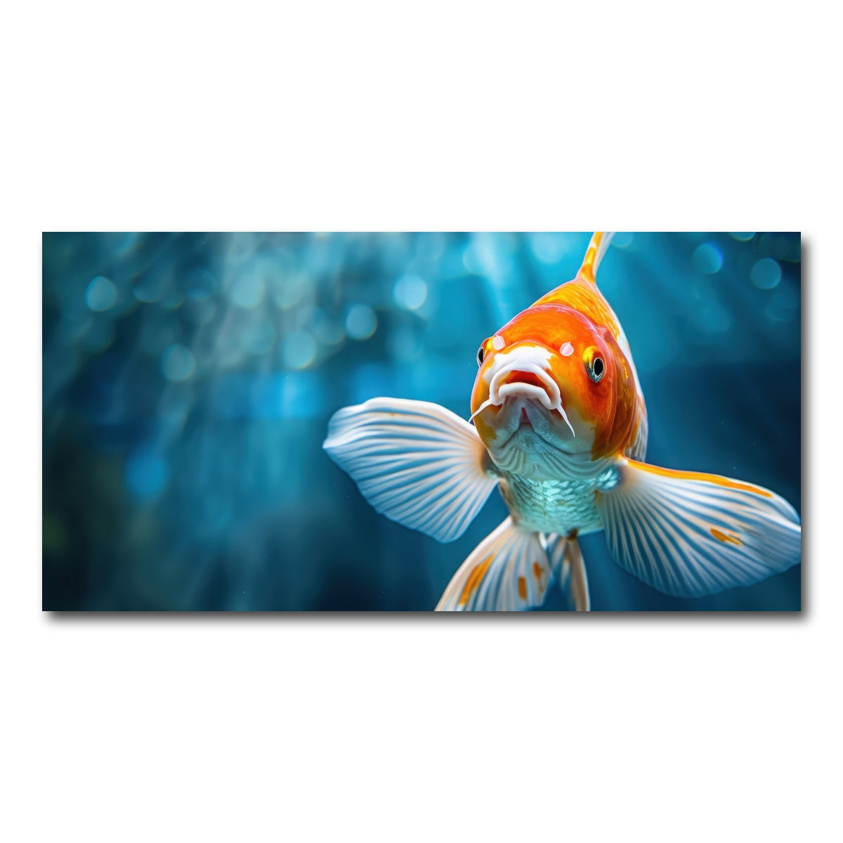 AUTO-MOCKUP WHITE | Vibrant Golden Koi | 1 Piece | Gallery Wrap Canvas | group=2x1