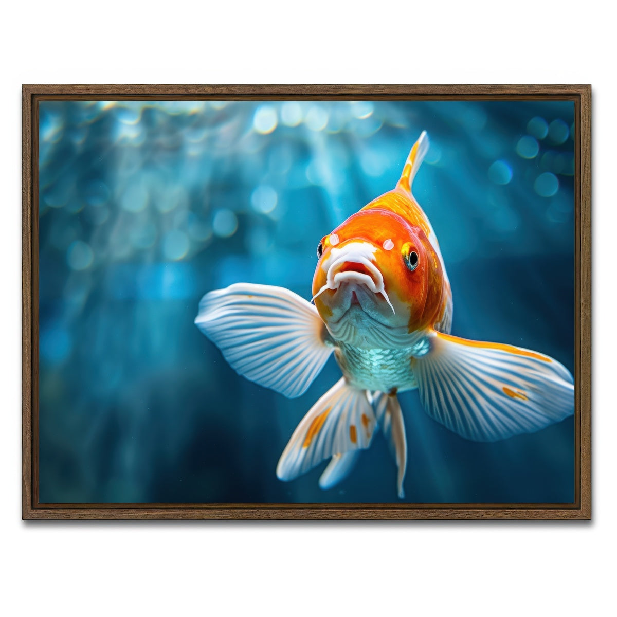 AUTO-MOCKUP WHITE | Vibrant Golden Koi | 1 Piece | Walnut Framed Canvas | group=4x3