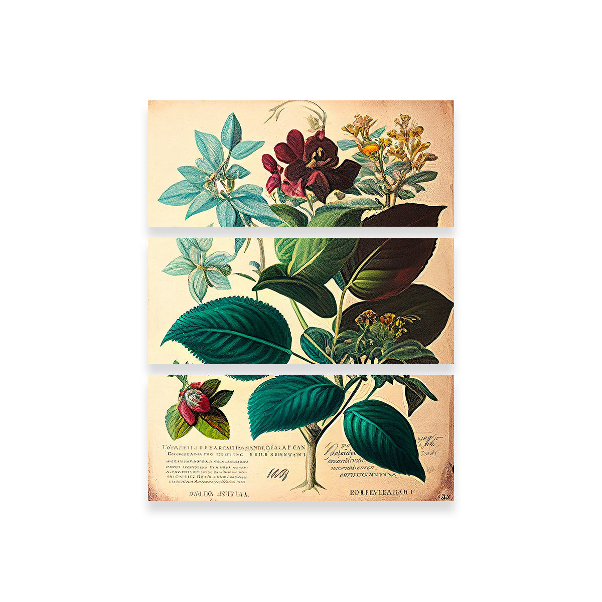 Vintage Botanical Print Series 1 Wall Art