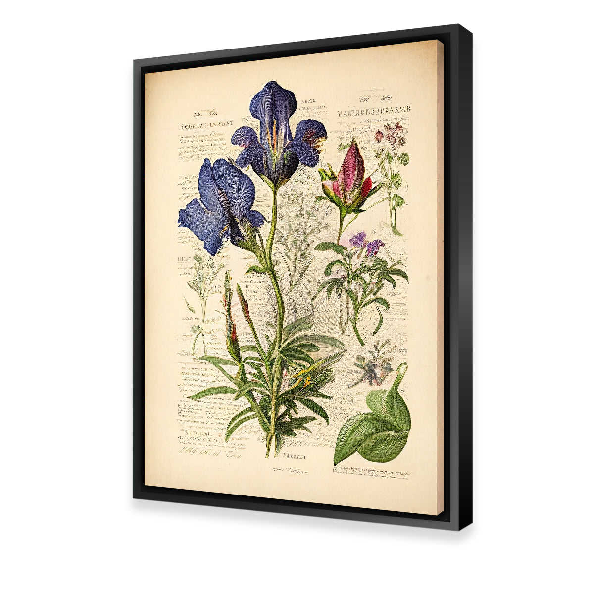 Vintage Botanical Print Series 7 Wall Art
