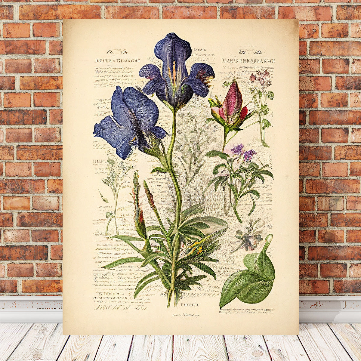 Vintage Botanical Print Series 7 Wall Art