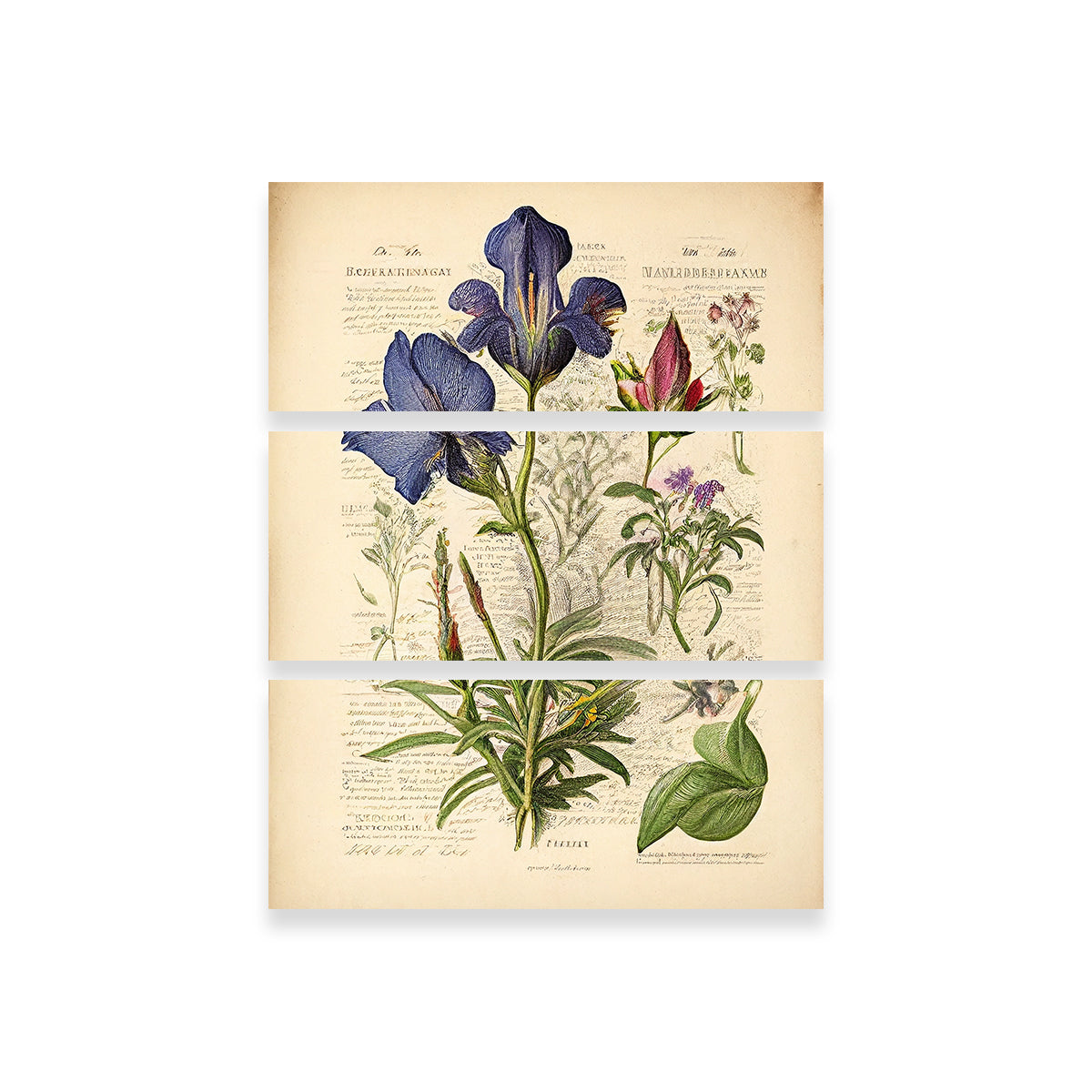 Vintage Botanical Print Series 7 Wall Art