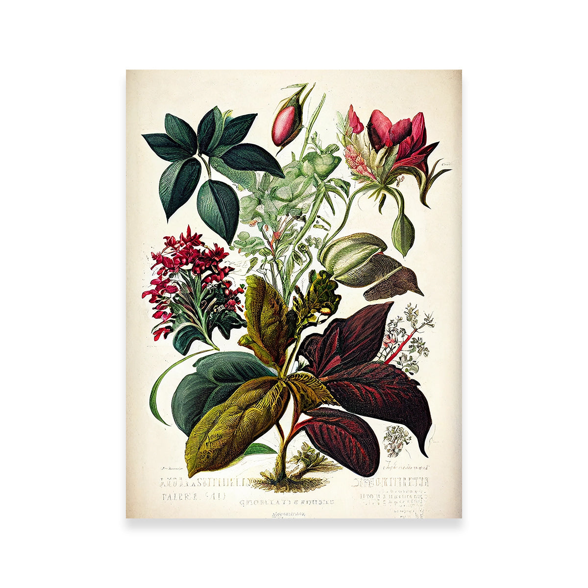 Vintage Botanical Print Series 8
