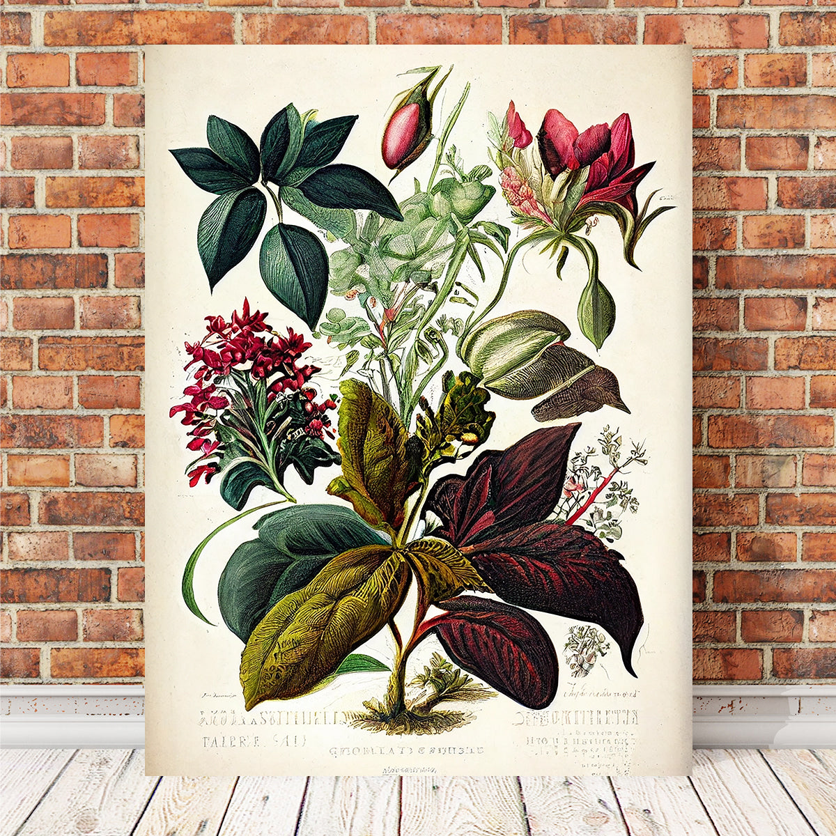 Vintage Botanical Print Series 8