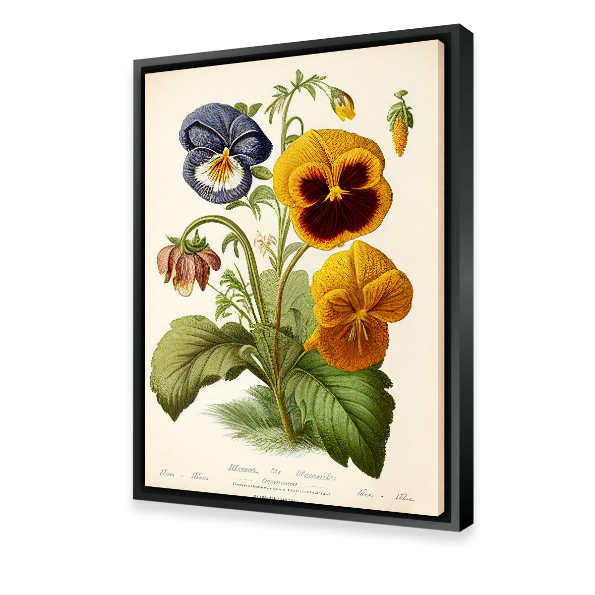 Vintage Botanical Print Series 9 Wall Art