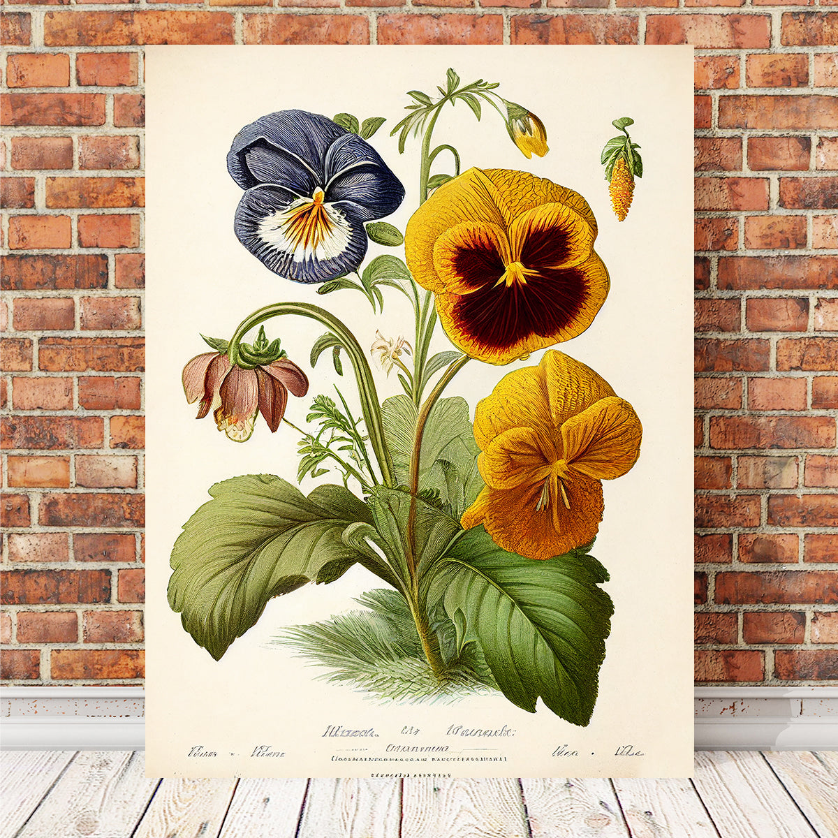Vintage Botanical Print Series 9 Wall Art