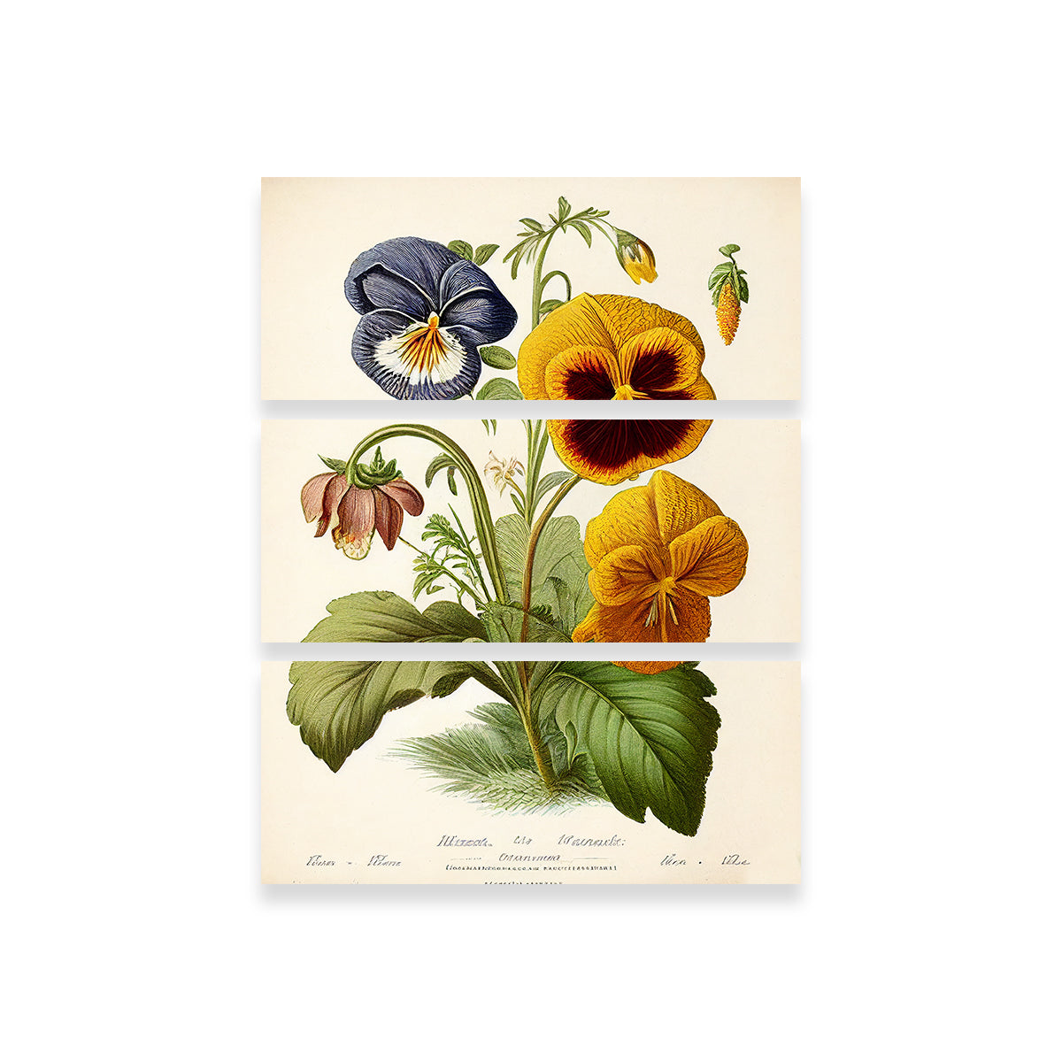 Vintage Botanical Print Series 9 Wall Art
